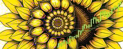 La Escala de Fibonacci: Ritmos Naturales en Patrones Financieros